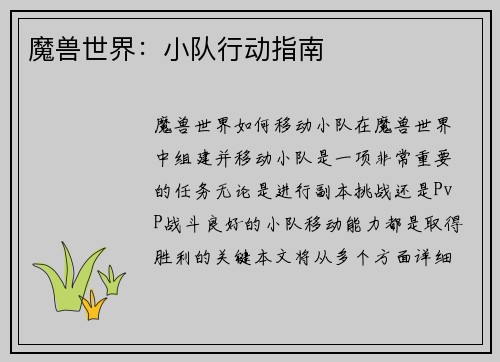 魔兽世界：小队行动指南